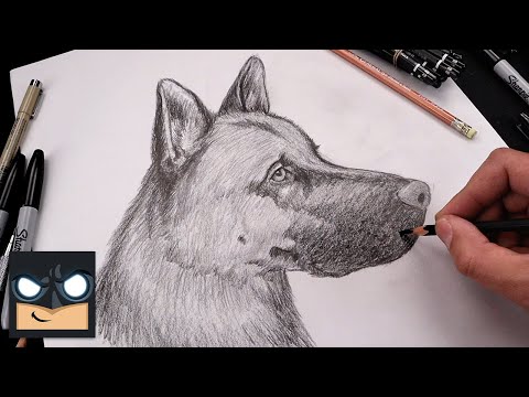 How To Draw a Dog | German Shepherd Sketch Art Lesson (Step by Step)
