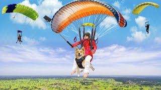 Vlogger Paragliding With Dog Hindi Kahaniya Moral Stories Paragliding Funny Video New Comedy Video
