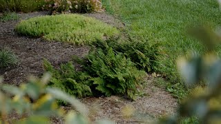 Get It Growing: Time to plan your fall landscape