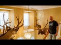 Whitetail Cribs: 399" Utah Elk, AZ Mule Deer, and Ohio Whitetails