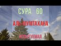 Сура Аль-Мумтахана - КРАСИВОЕ ЧТЕНИЕ КОРАНА
