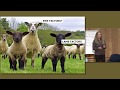 Optimizing Lamb Performance with Lesley Stubbings: Part 4