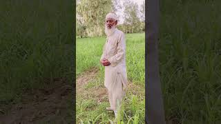 Allah Hu Akbar 🤲 mashallah islamik video vairal terandig vedio youtube channel name mohd nasir x2 🫶