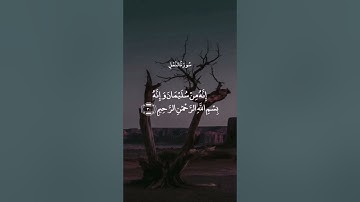 #آية #سورة_النمل #القارئ #ماهر_المعيقلي