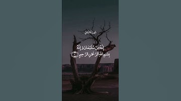 #آية #سورة_النمل #القارئ #ماهر_المعيقلي