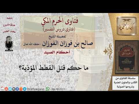 ما حكم قتل الحيوان المؤذي؟ للشيخ صالح الفوزان