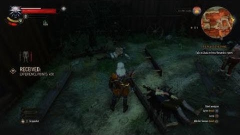 The Witcher 3: Double Whammy Glitch Blue Lady T pose flying man