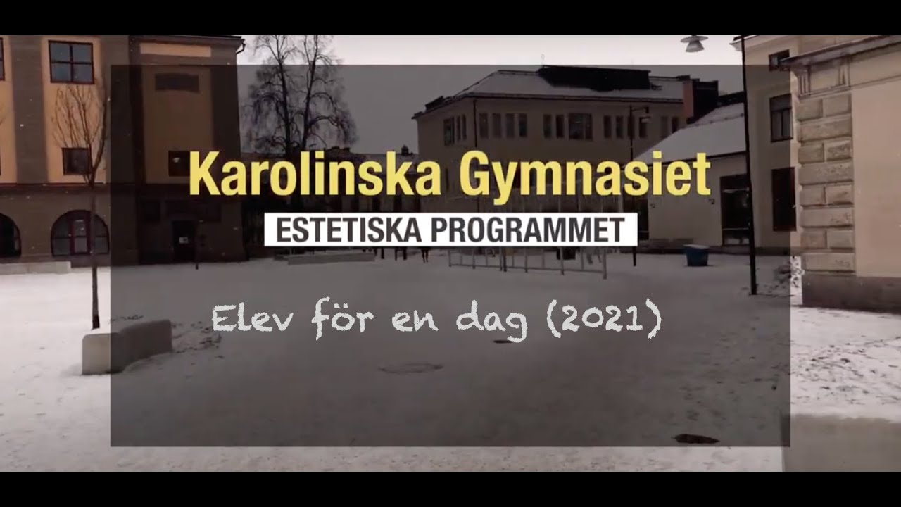 Elev för en dag 2021