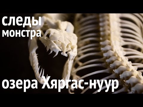 Видео: Цагаан нуур дээрх дууриамал