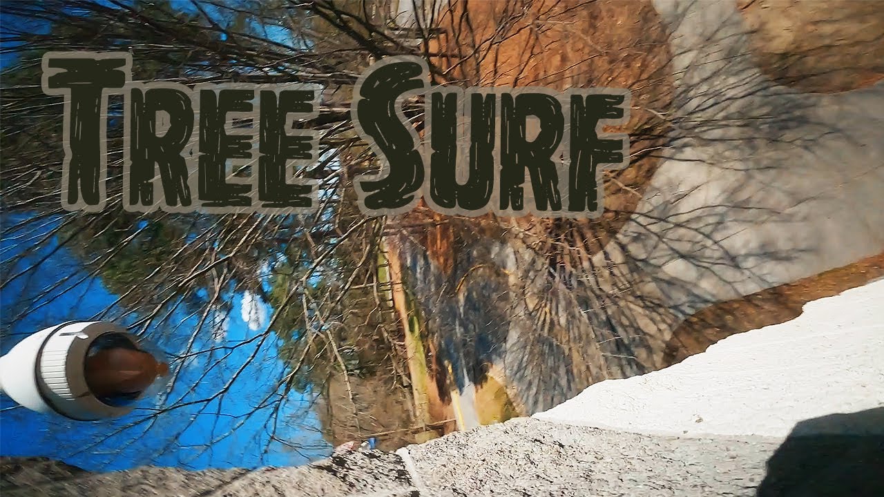 TREE SURF | 4k Proximity Freestyle FPV [ no hypersmooth ]