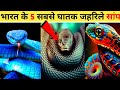 भारत के 5 सबसे घातक जहरिले सांप || 5 most deadly poisonous snakes of India || #india #facts