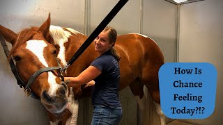 Tmj And Shoulder Movement With 5 Year Old Chance