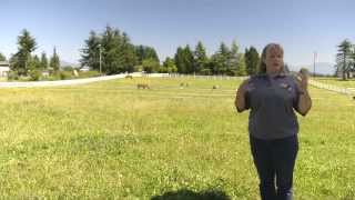 Sound Horsekeeping: Pasture Management