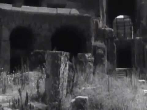 Tan Zero — Tan Zero - we can't image