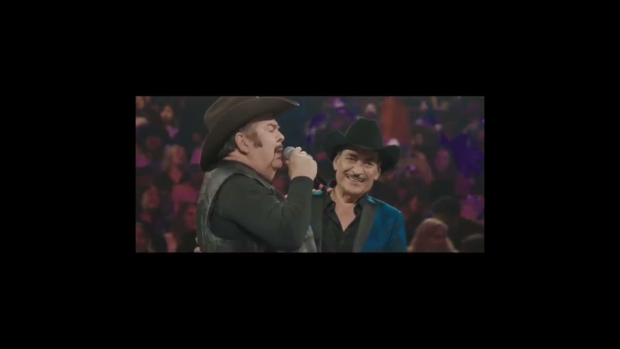 Palomazo gold Edition (resubido) 