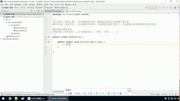Java语法 080 数组的定义格式二 静态初