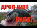 Ловля крупного окуня в ноябре