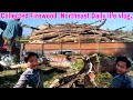 Collected Firewood|Northeast daily life vlog|Pasighat Vlogs|Berung Village|Arunachal Pradesh, India.