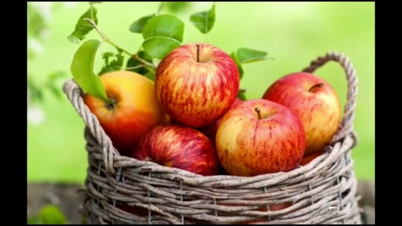 Tipps zum Umweltschutz im Alltag - YouTube