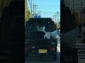 Big dog #viral #shorts