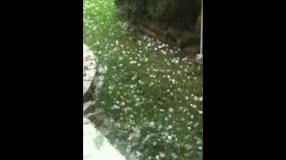 Hail storm - June 13, 2012