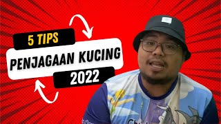 5 Tips Penjagaan Kucing Yang Betul Dan Anda Perlu Tahu