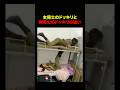 男のドッキリはレベルが違う #shorts