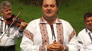 Ciprian Picovici  Viata Viata