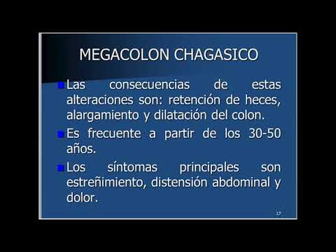 26.- Megacolon Vólvulo y Fecaloma