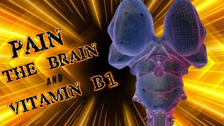 Pain, the Brain and Vitamin B1