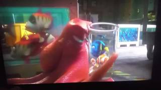 Finding dory reunion