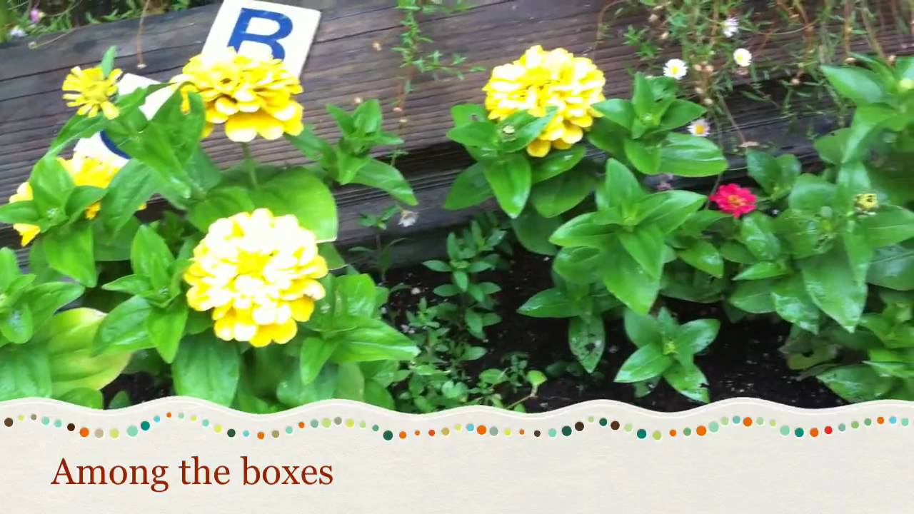 iMovie for iPhone example - YouTube