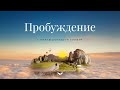 О программе «Пробуждение» | Нил Доналд Уолш