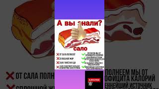 А ВЫ ЗНАЛИ ЧТО САЛО ЭТО...  #интересныефакты #shorts #факты