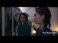Zoa And Bel Their Story Part 5 Zoa And Bel Their Story Part 5