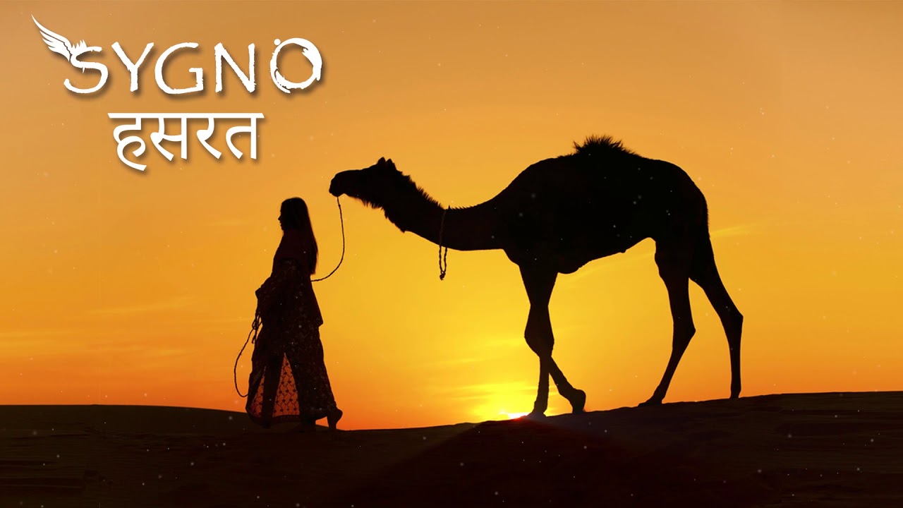 Sygno ft. Sushilbawa - Hasrat