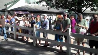 Travers Stakes 2010