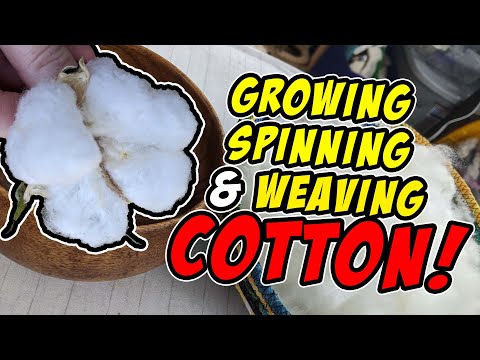 How is cotton spinning done?