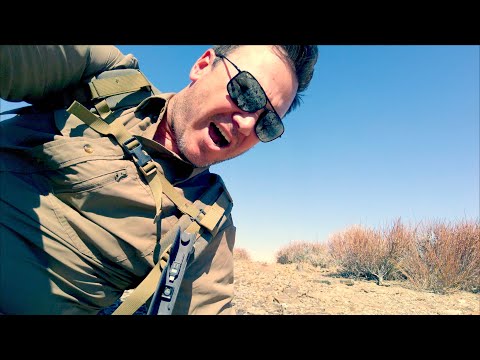 Gold Prospecting with a Metal Detector in the Desert