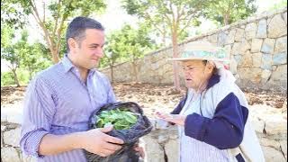 Have You Ever Been to Douma? The Old Souk, The Red Tiles, The Traditions, World Tourism Destination