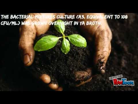 bioremediation