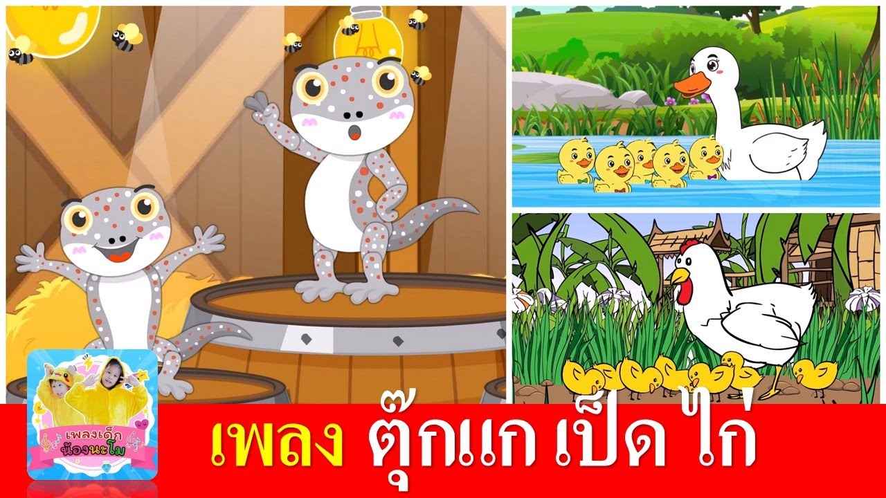 เพลงเด็กอนุบาล ตุ๊กแก เป็ด ไก่ | ตุ๊กแก  | เป็ดก้าบก้าบ | ไก่กุ๊กกุ๊ก