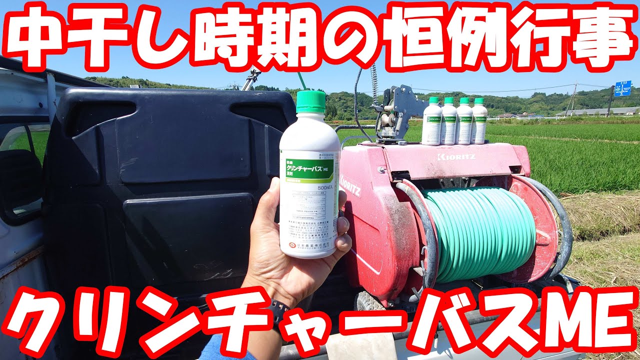 ヒエが大量発生した田んぼに除草剤散布。#除草剤