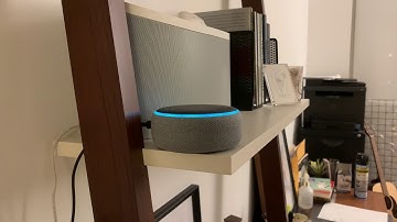 Alexa skynet