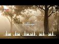 أنشودة بينات المنشد موسى العميرة 