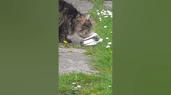 3 Sec video Jill April 18 2022