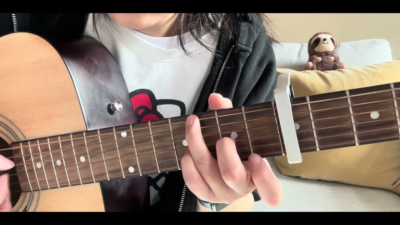 Winnie the Pooh Theme (Guitar)