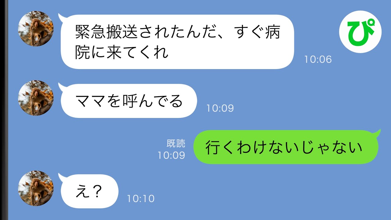 【LINE】息子が緊急搬送されたと夫から連絡「ママを呼んでる！すぐ病院に来てくれ！」私「行く訳ないじゃない」夫「え？」→実は…【スカッと修羅場】