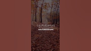 سورة النصر （奈斯尔） 【援助章】 #القرآن_الكريم #quran #古兰经