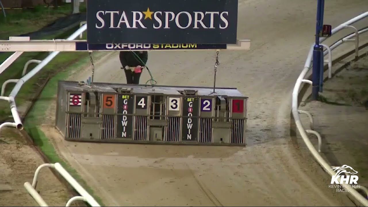 Ballinabola Bill - Oxford Standard OR Div 1